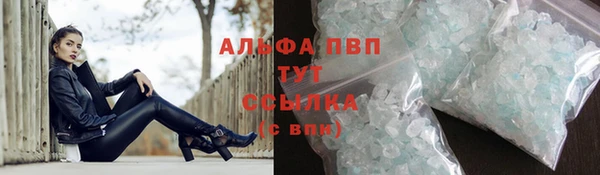 твердый Арсеньев