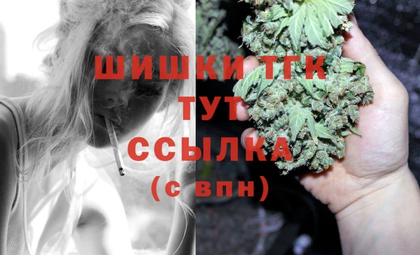 твердый Арсеньев