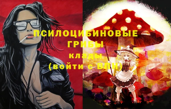 твердый Арсеньев