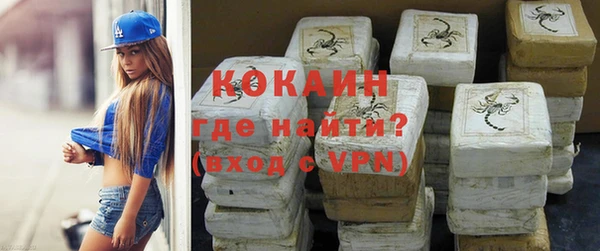 твердый Арсеньев